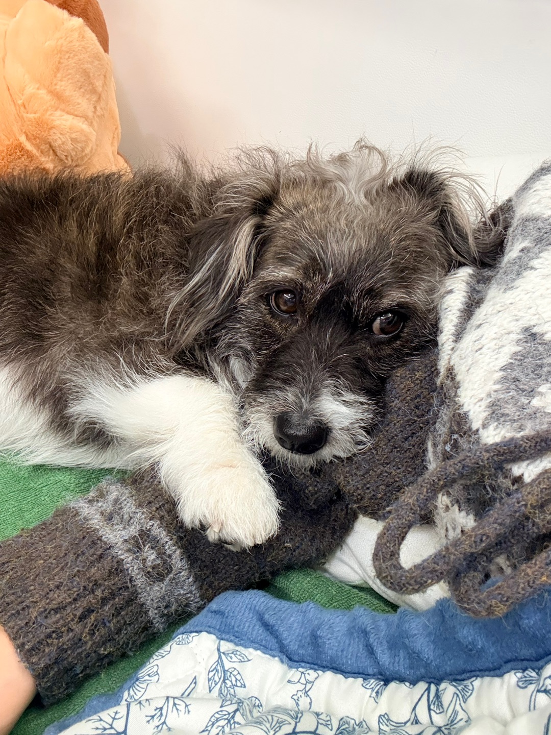 妈妈我们天下第一好