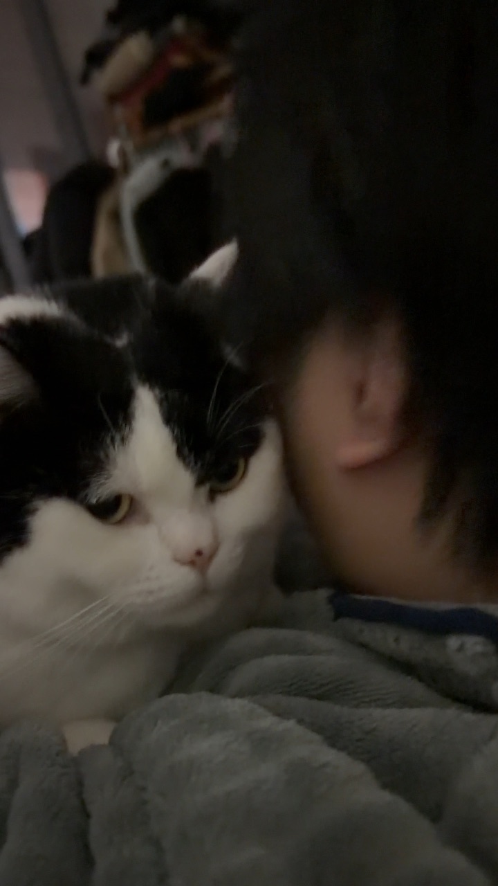 忍无可忍无需再忍