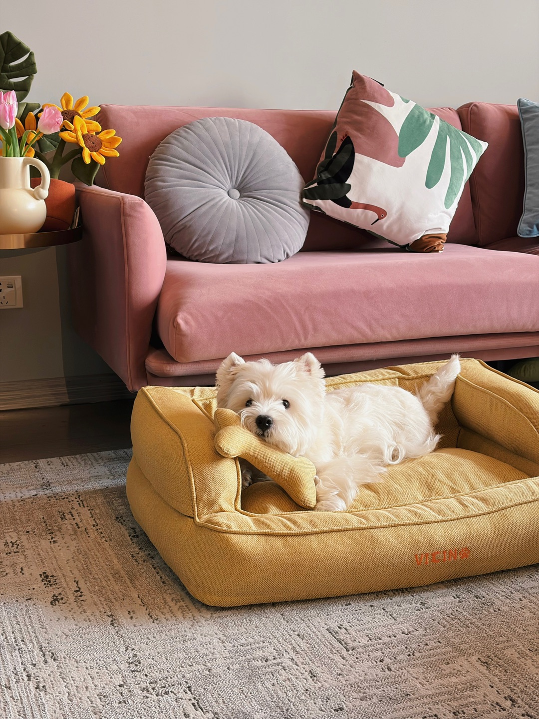 我的追剧搭子🛋