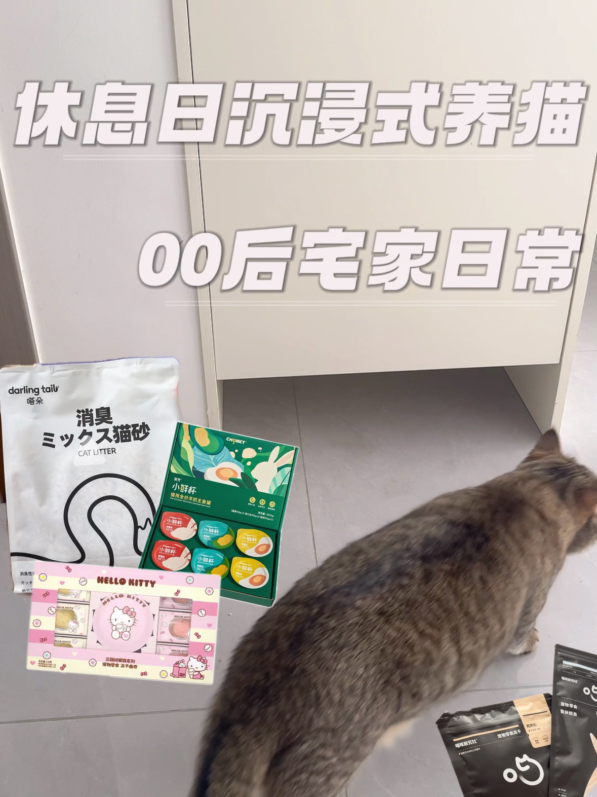 🐈｜休息日：我和猫的慢生活