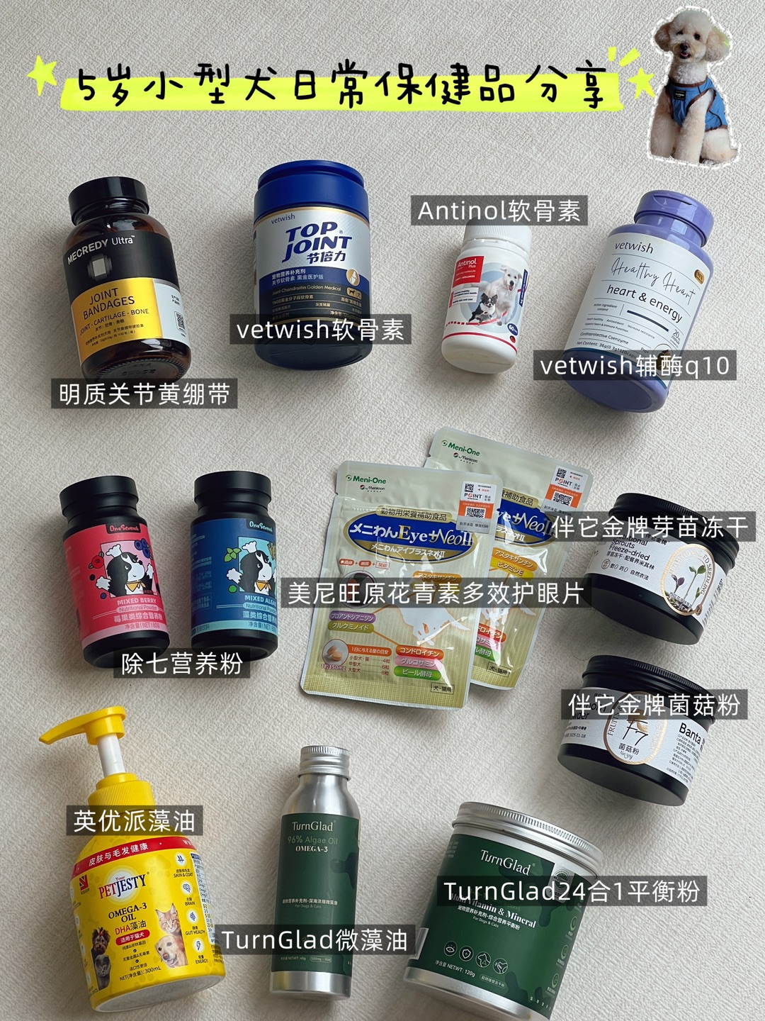 📝Share｜5岁半小型犬日常保健品分享