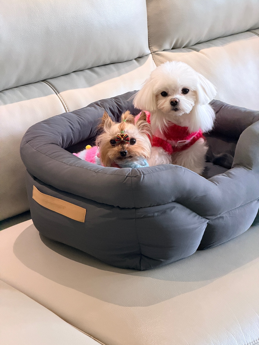 一家人就是要窝在一起睡觉呀！