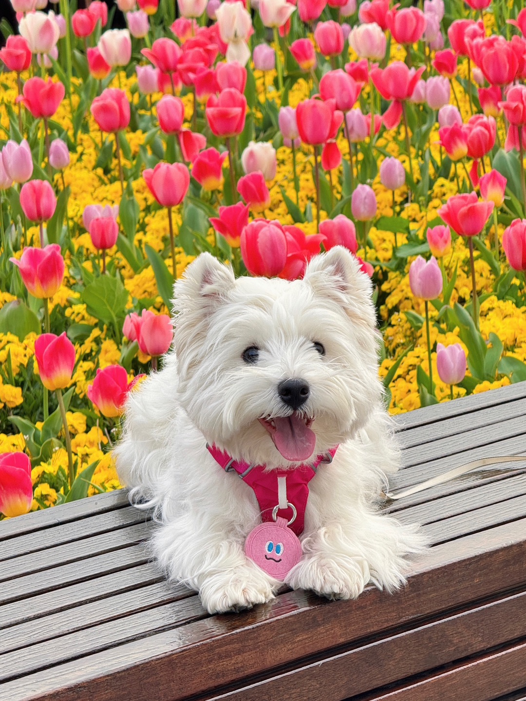 我和你要去闻闻新鲜的春天🌷