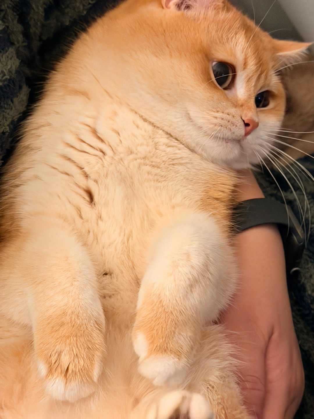 再说❗️我要不高兴了🤪