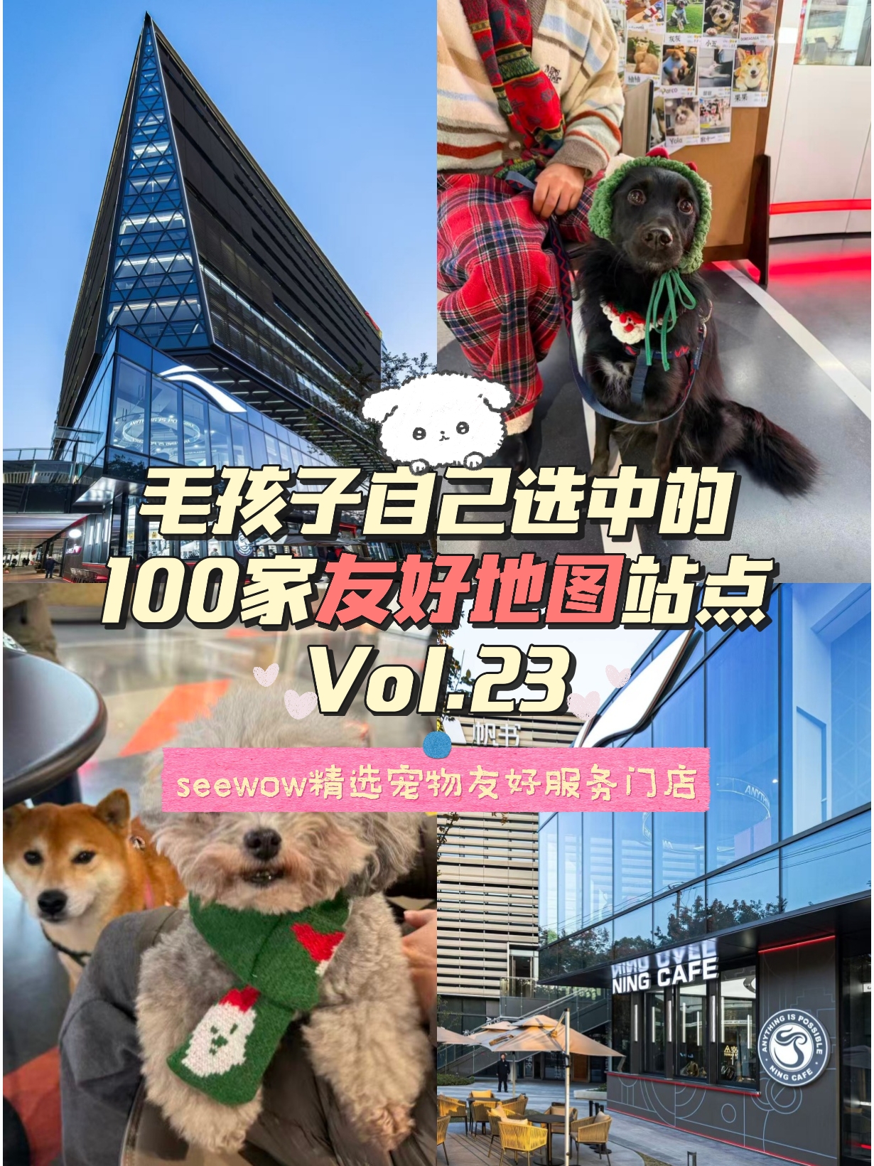 宠物友好地图第23站｜宁咖啡
