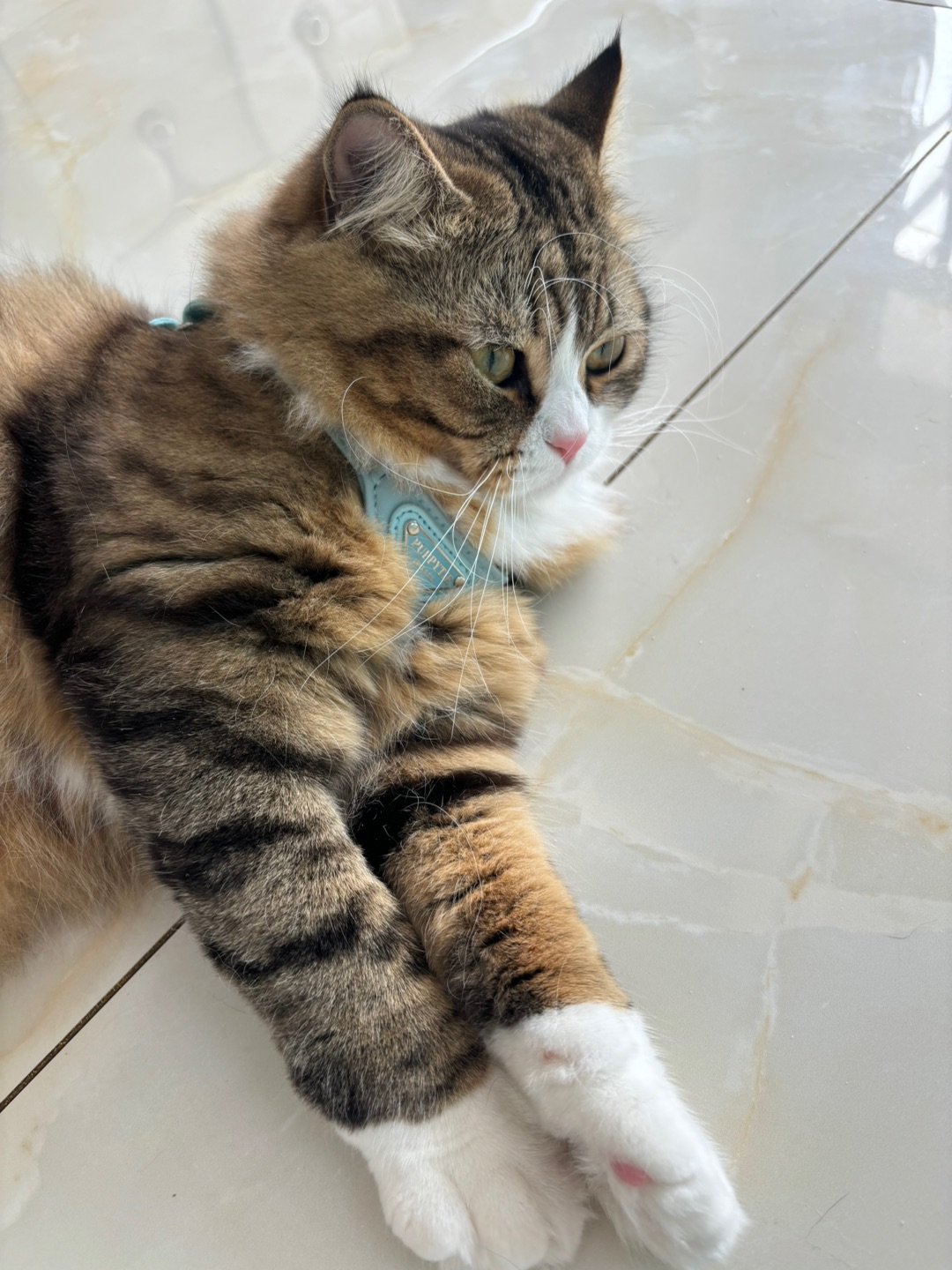 哈哈(〃'▽'〃)哈哈˙ᗜ˙(〃'▽'〃)哈哈˙ᗜ˙(〃'▽'〃)