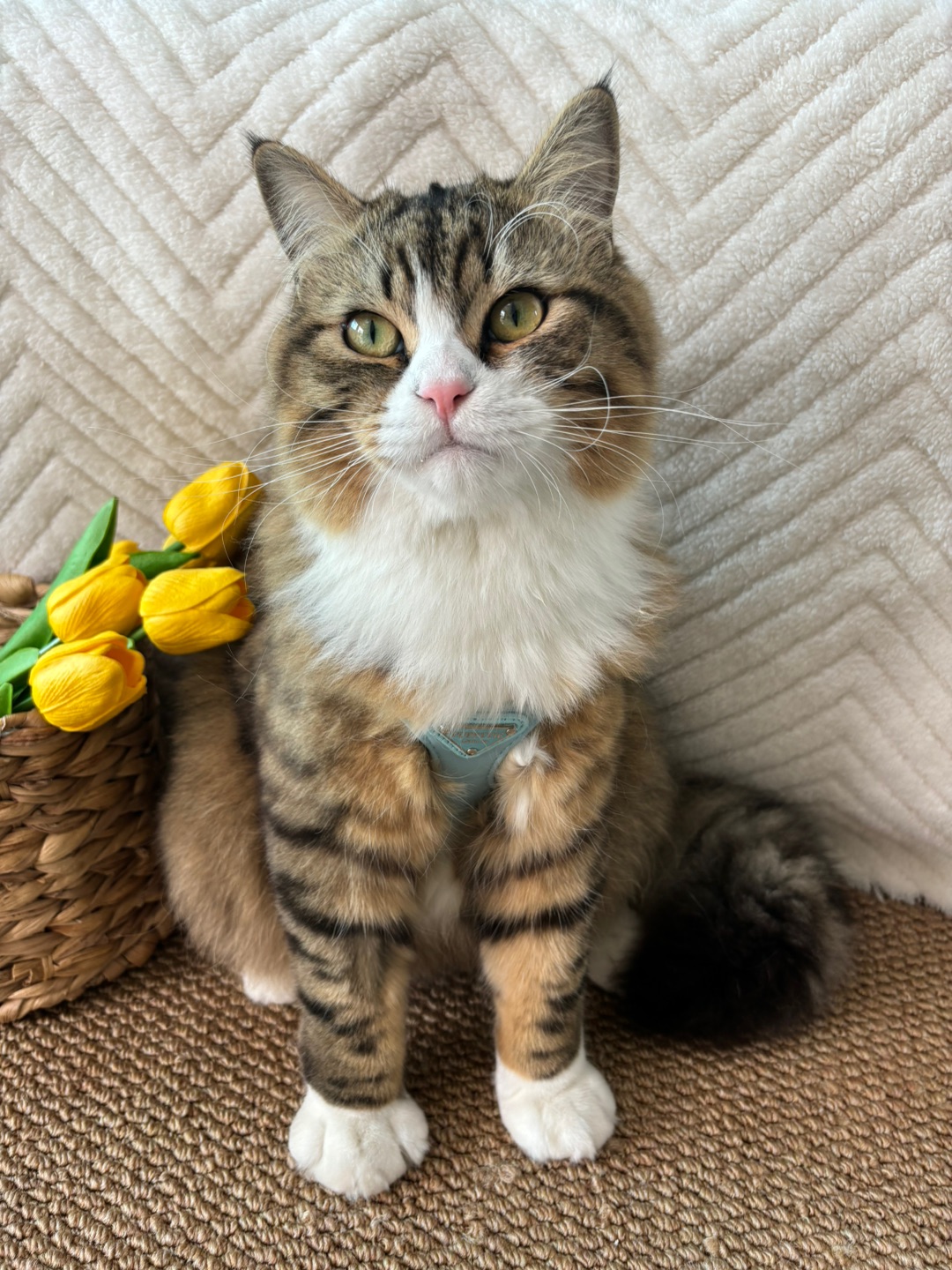 哈哈(◍•ᴗ•◍)哈哈✌︎˶╹ꇴ╹˶✌︎˙ᗜ˙  ᖰ⌯'▾'⌯ᖳ哈哈_(:D)∠)_哈哈(❁´ω`❁)