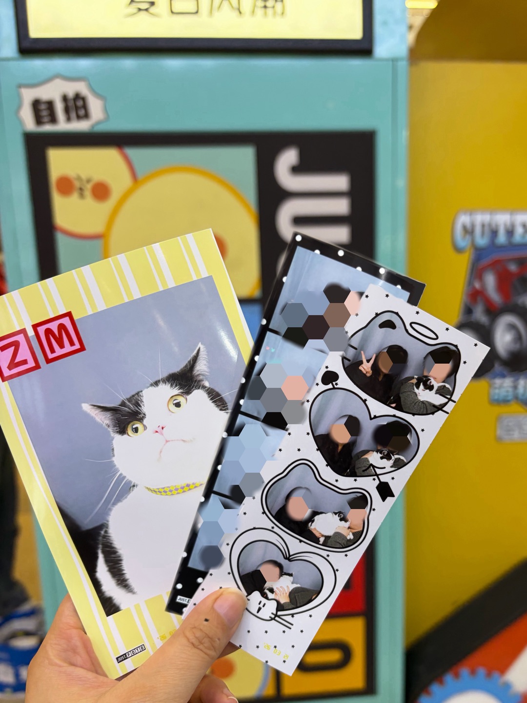 带猫猫拍四宫格啦