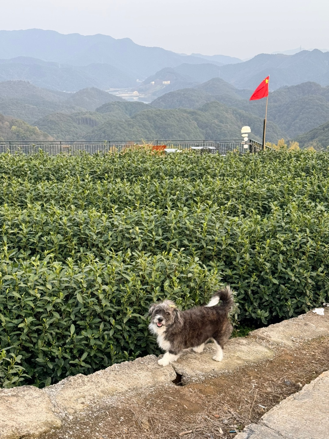 春日和好朋友上春山⛰️