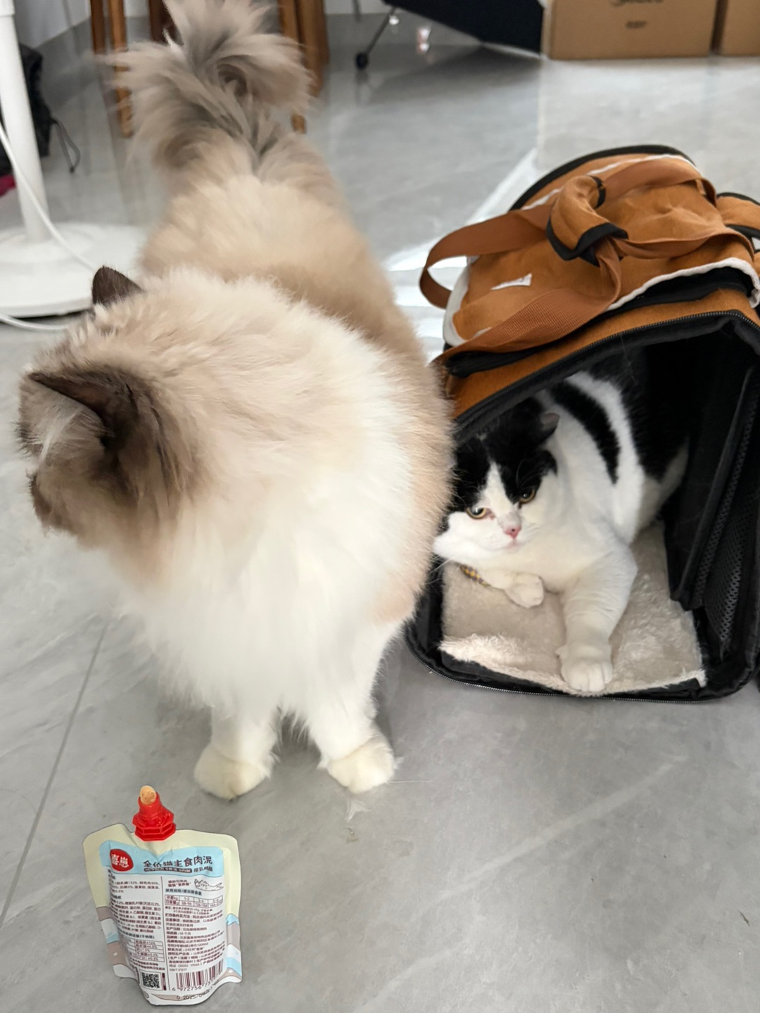 给我们兄弟两拍个照片