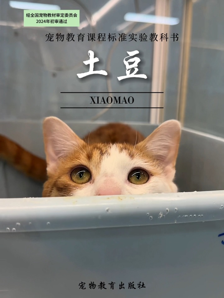 一本值得读一生的 关于土豆这本书