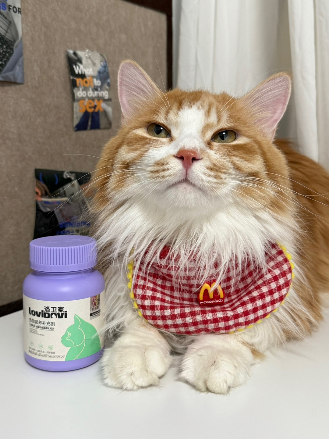 猫毛的克星，我的救星