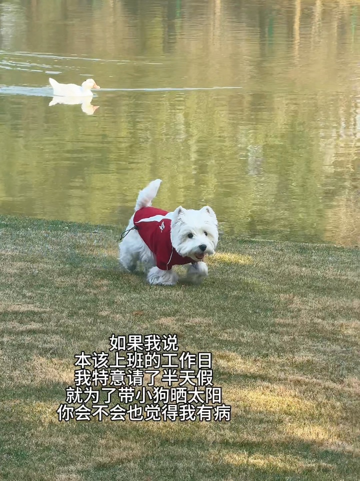 工作只是工作 生活就要鲜活！