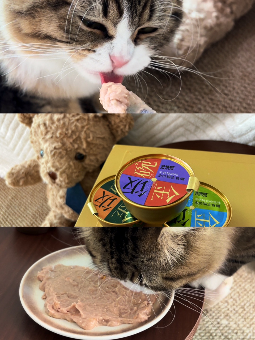 哈哈˙ᗜ˙(*´・ｖ・)(*´▽｀)ノノ哈哈(*´・ｖ・)~(＾◇^)/