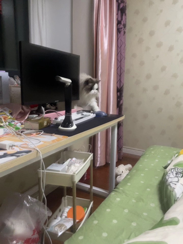 哈哈哈哈哈哈哈哈我笑到头掉哈哈笑得想头掉哈哈哈哈哈哈哈哈哈笑