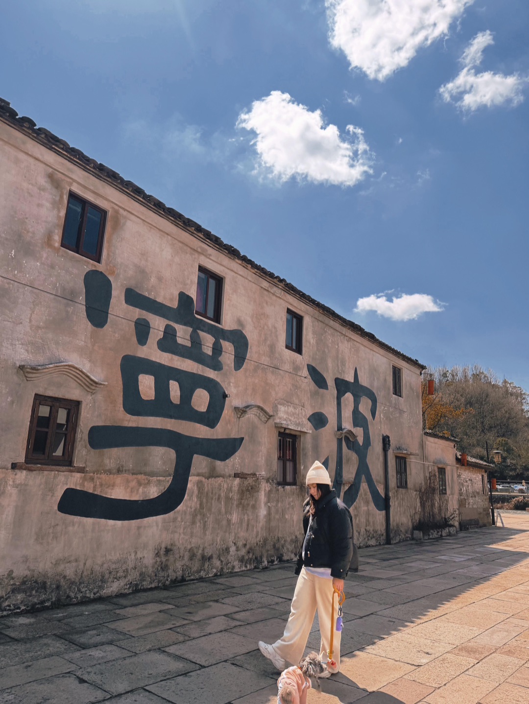 宁波东钱湖📍一个适合遛狗拍照的地方