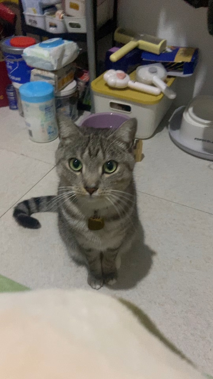 26.3.26 漂亮 怎么样都漂亮