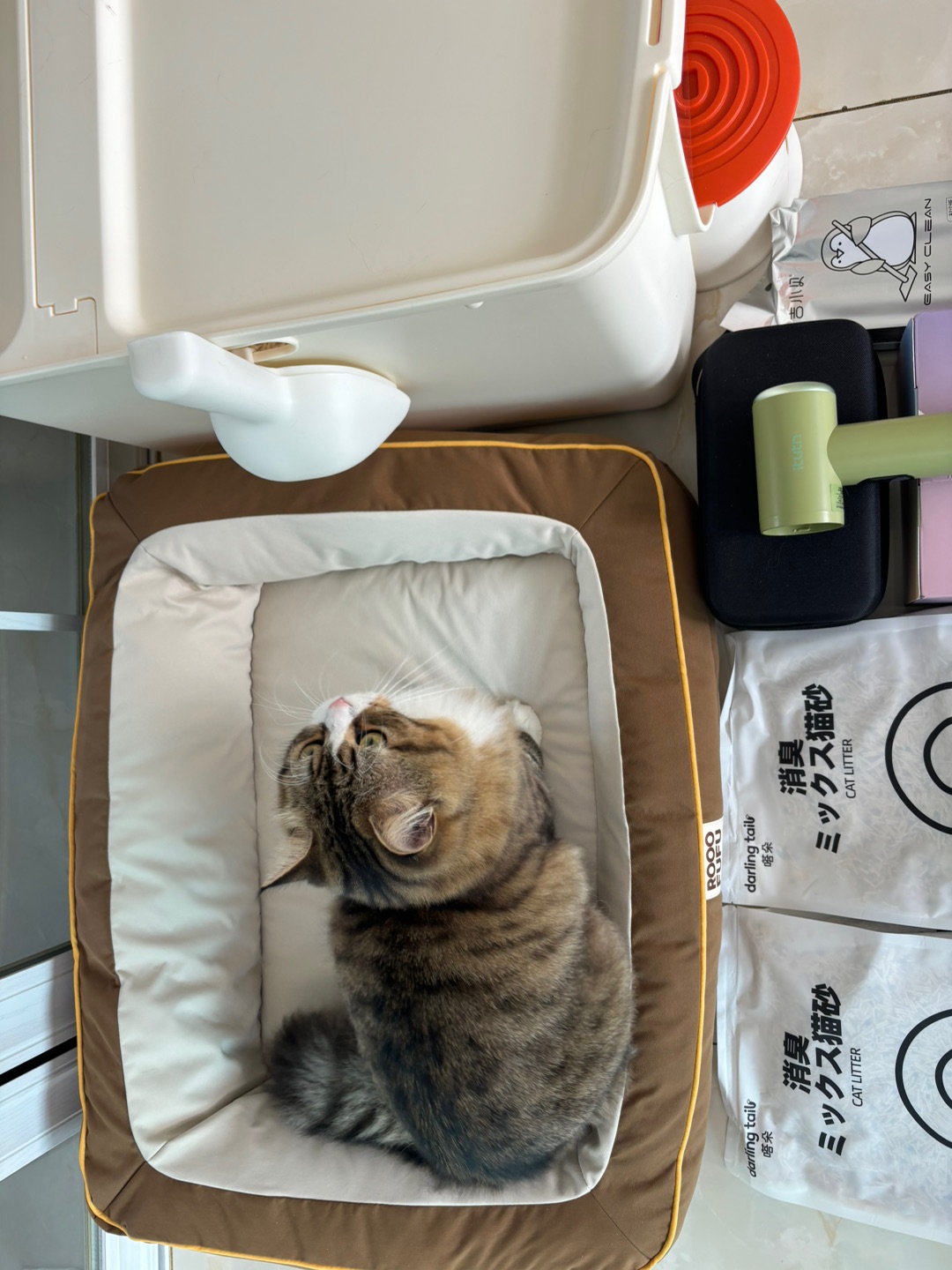 哈哈˙ᗜ˙(*´・ｖ・)(*´▽｀)ノノ哈哈(*´・ｖ・)~(＾◇^)/