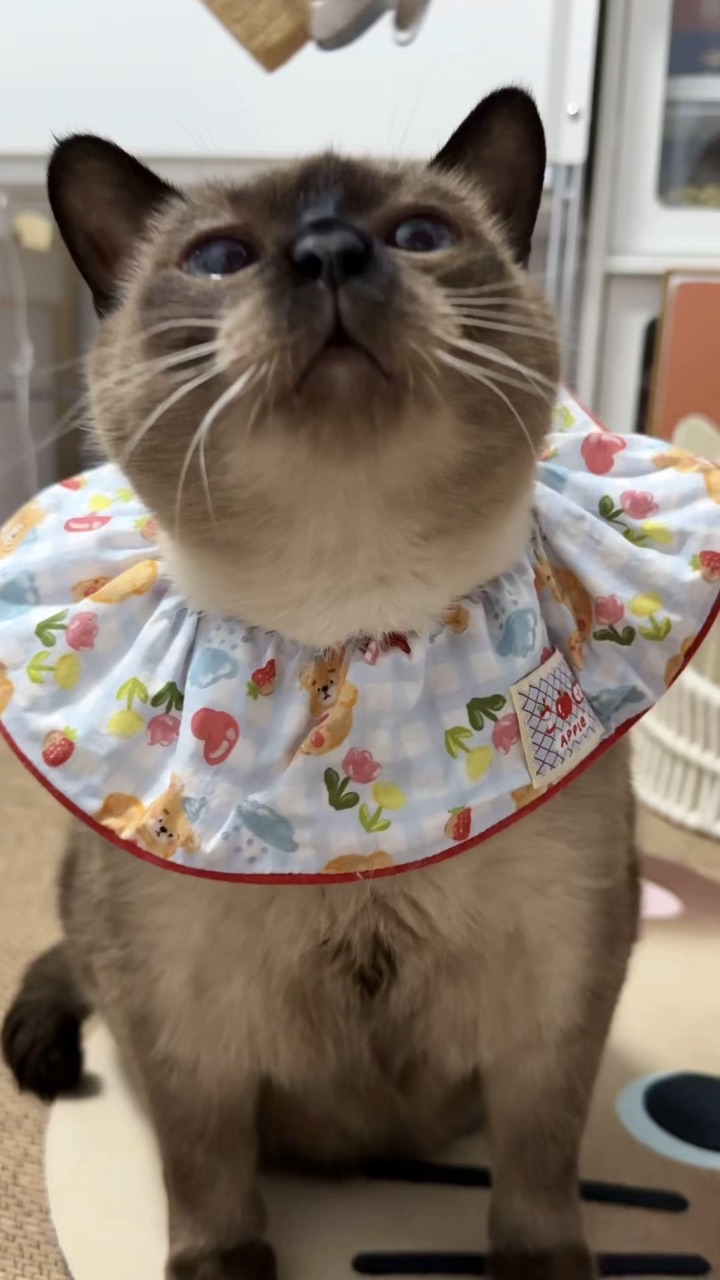 这一口，直接香到天灵盖