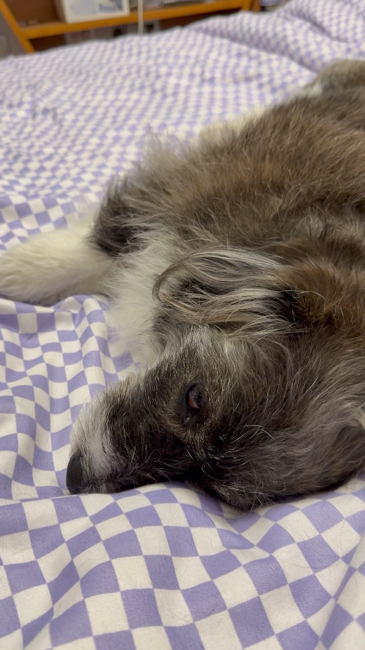 这才是真正的音乐