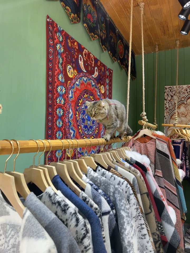 飞檐走壁你能飞多高