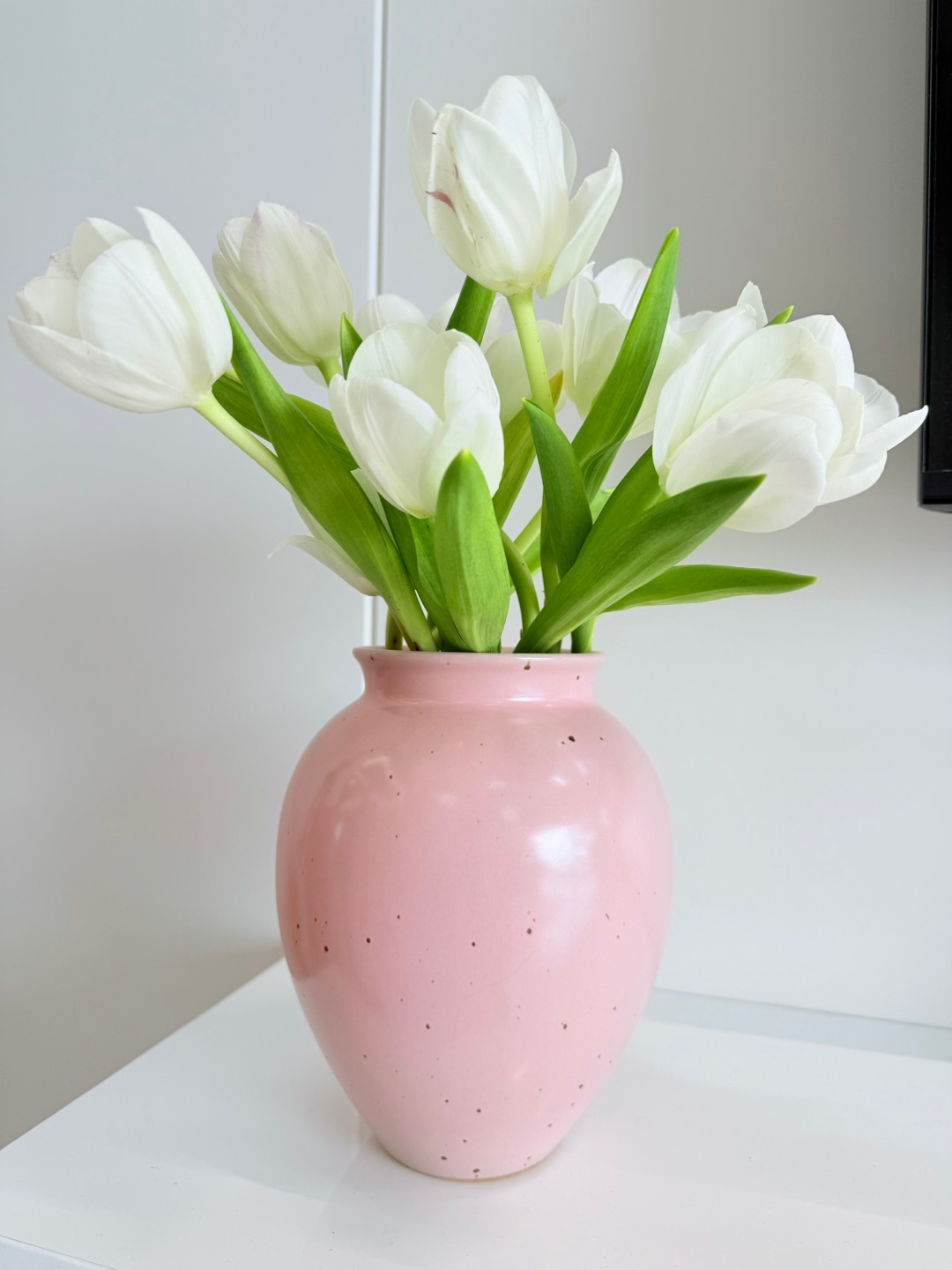 白色郁金香很美耶