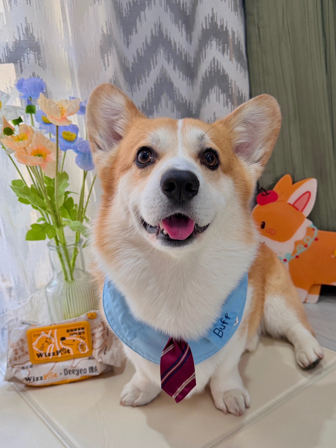 谁还没囤德佑宠物湿巾我真的会急！