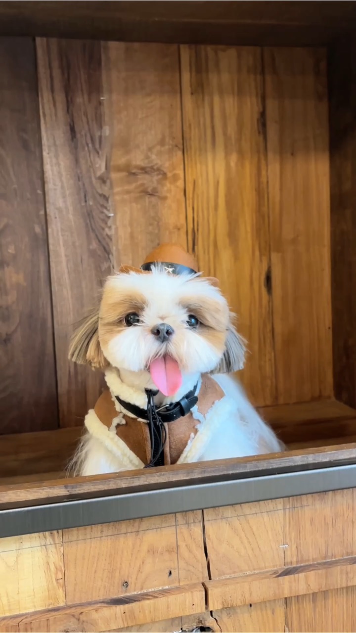 是迪士尼小狗耶