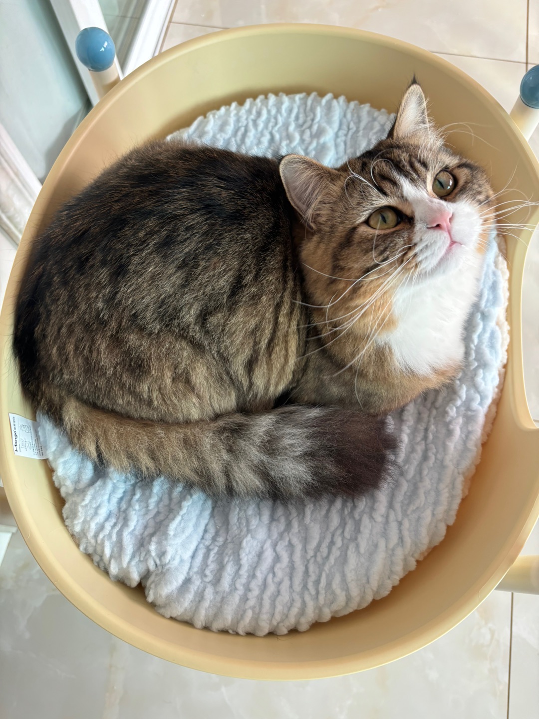 哈哈˙ᗜ˙˙ᗜ˙(*´・ｖ・)(^-^)/*\(๑• ₃ •๑)( ´ ▽ ` )ノヽ(^0^)ノ