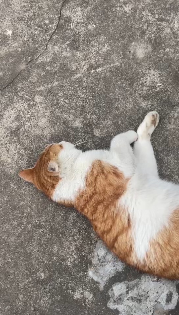 26.3.27 叫这么大声干嘛