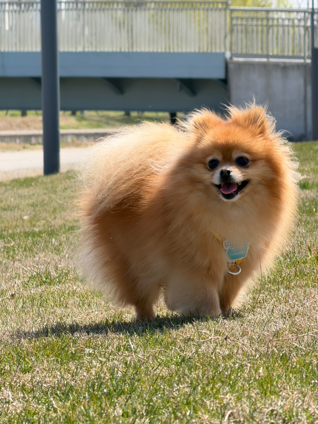 春暖花开，什么时候来和小抖面基