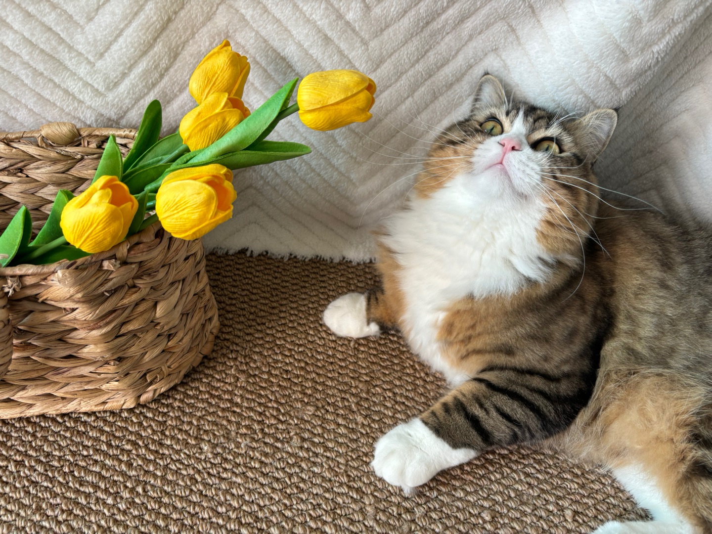 哈哈˙ᗜ˙˙ᗜ˙(*´・ｖ・)(^-^)/*\(๑• ₃ •๑)( ´ ▽ ` )ノヽ(^0^)ノ