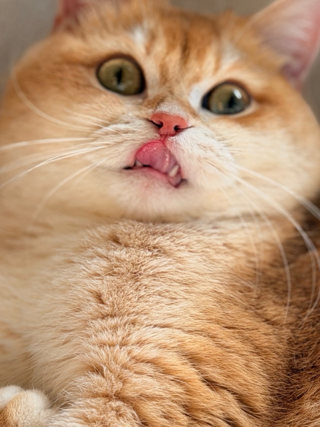 麻麻～ 我可爱捏？在线等挺急的