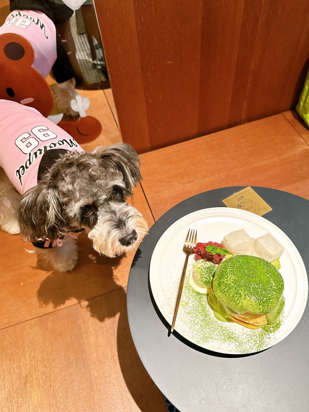 和小狗的春日甜品局☕