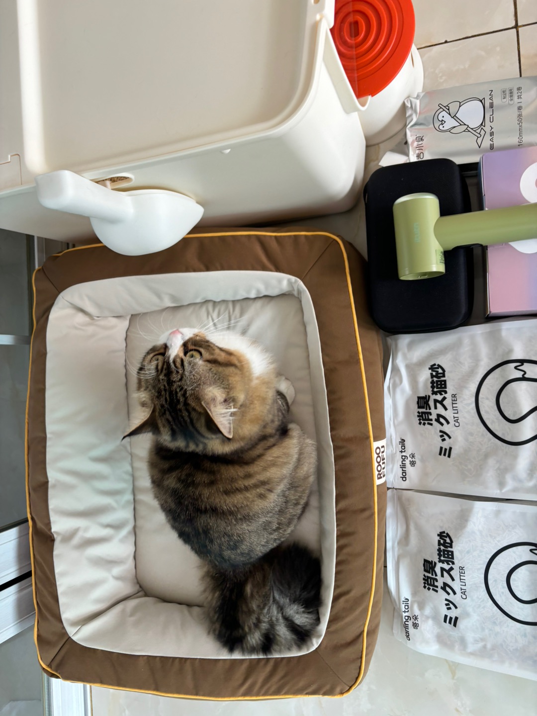 哈哈(〃'▽'〃)(^o^)／( ´ ▽ ` )ノ(^o^)／(^_^)ノ(*´▽｀)ノノ