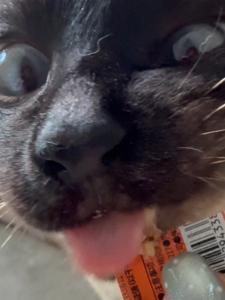 沉浸式吃播🍽️