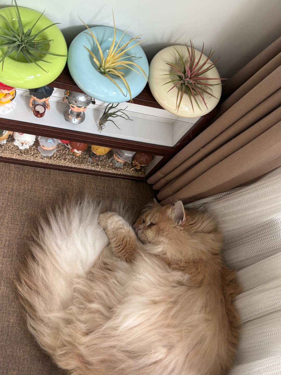 下班看到这一幕 心都融化了