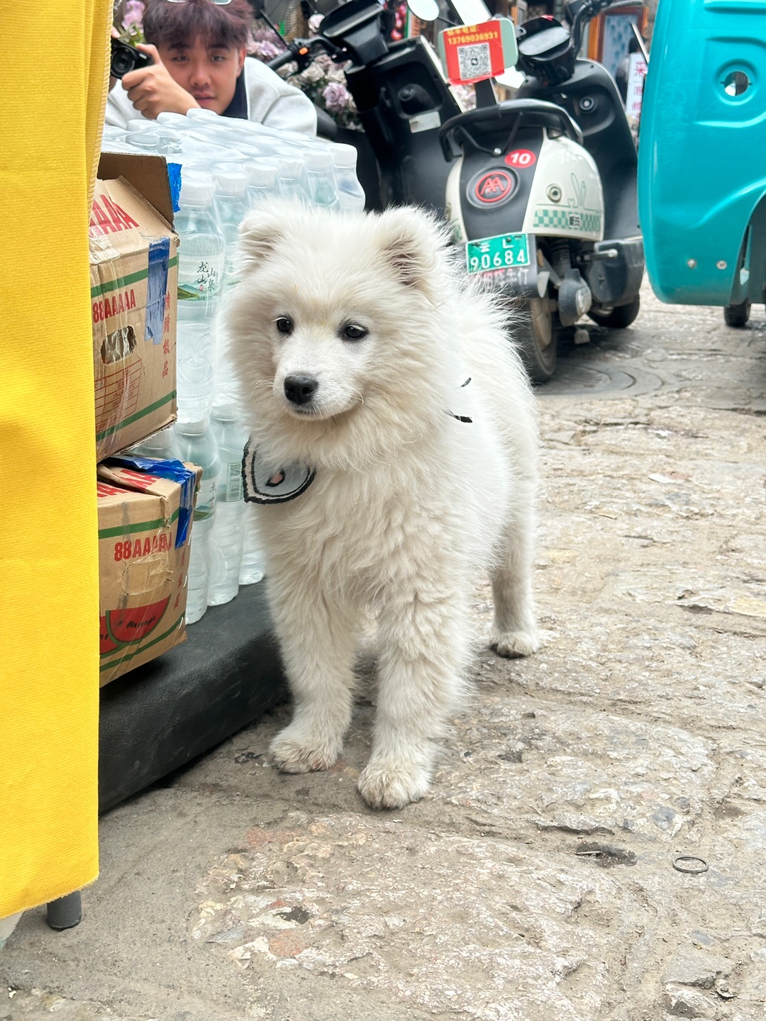 古称的小动物吗