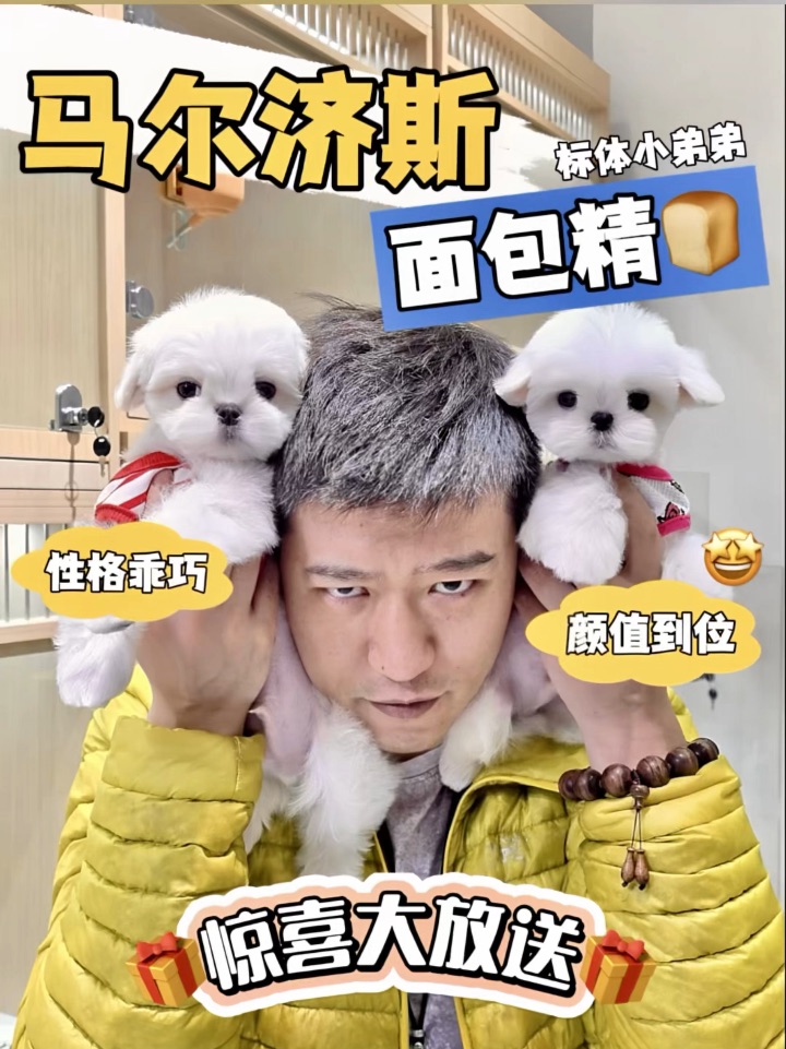 这个世界上，我只想要一件东西那就是……🥰