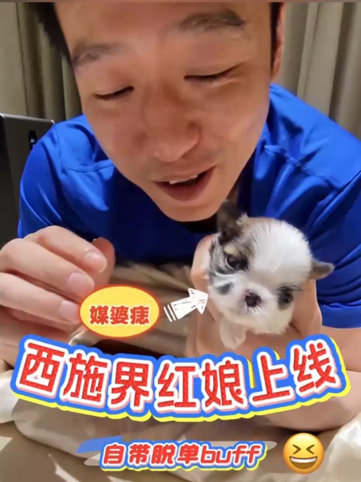 在逃媒婆🤣谁家西施宝宝自带脱单Buff啊❗️