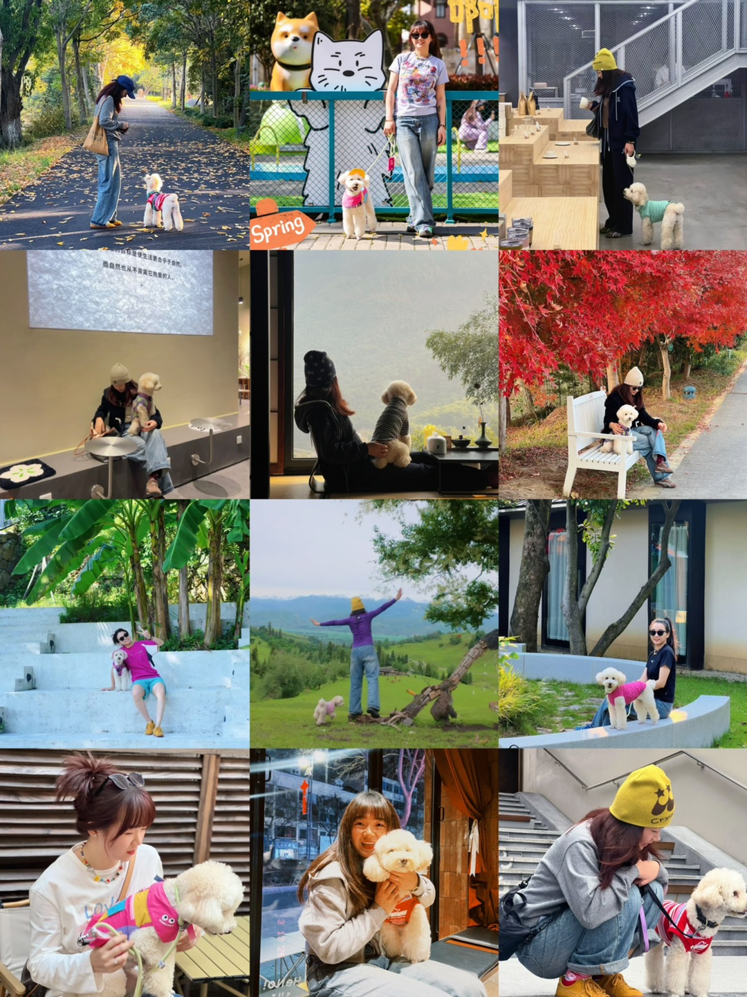 小狗是我万般不确定世界里的唯一确定🫶