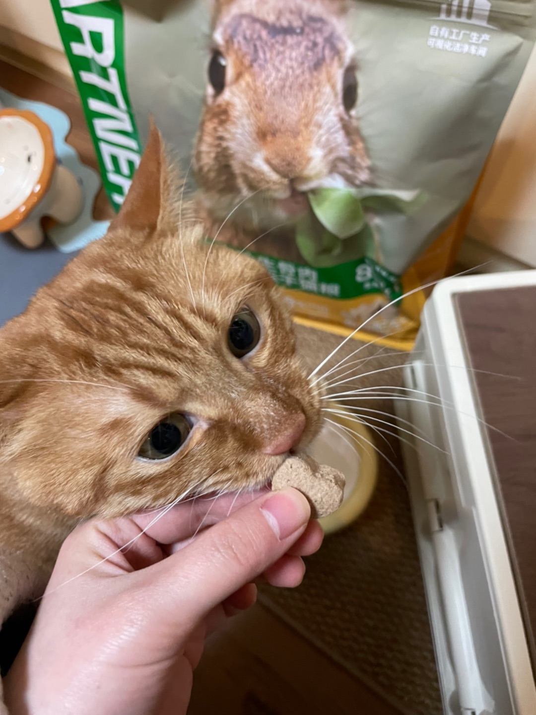 冻干都是爱我的形状