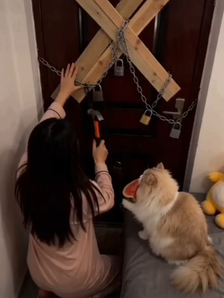 到底是在防谁呢