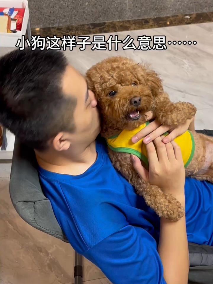 小狗这样是什么意思？