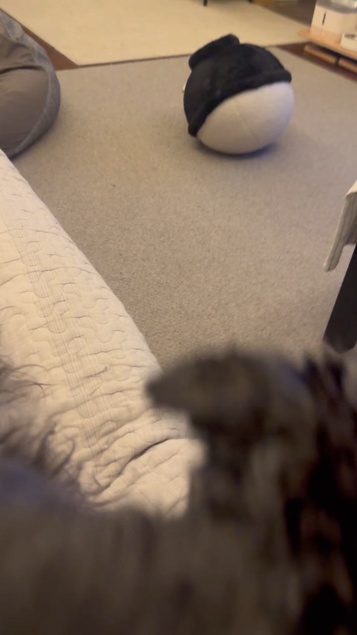 严重怀疑火锅的属性