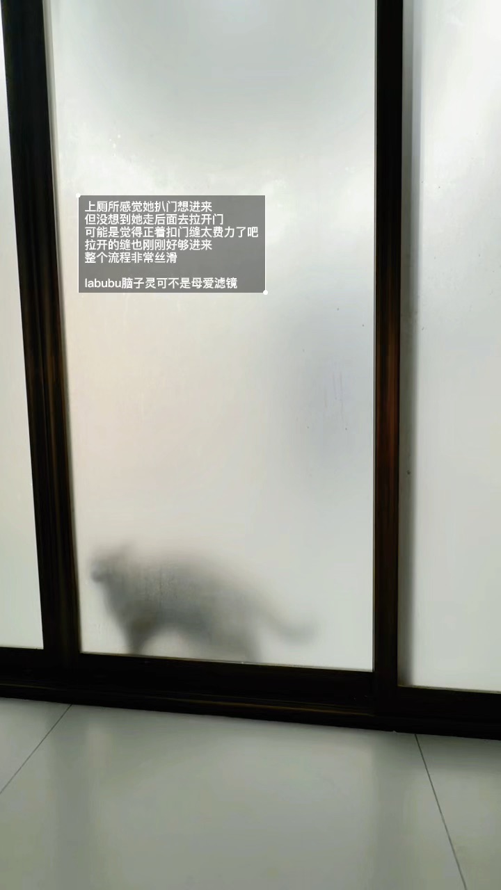 猫女儿最聪明了