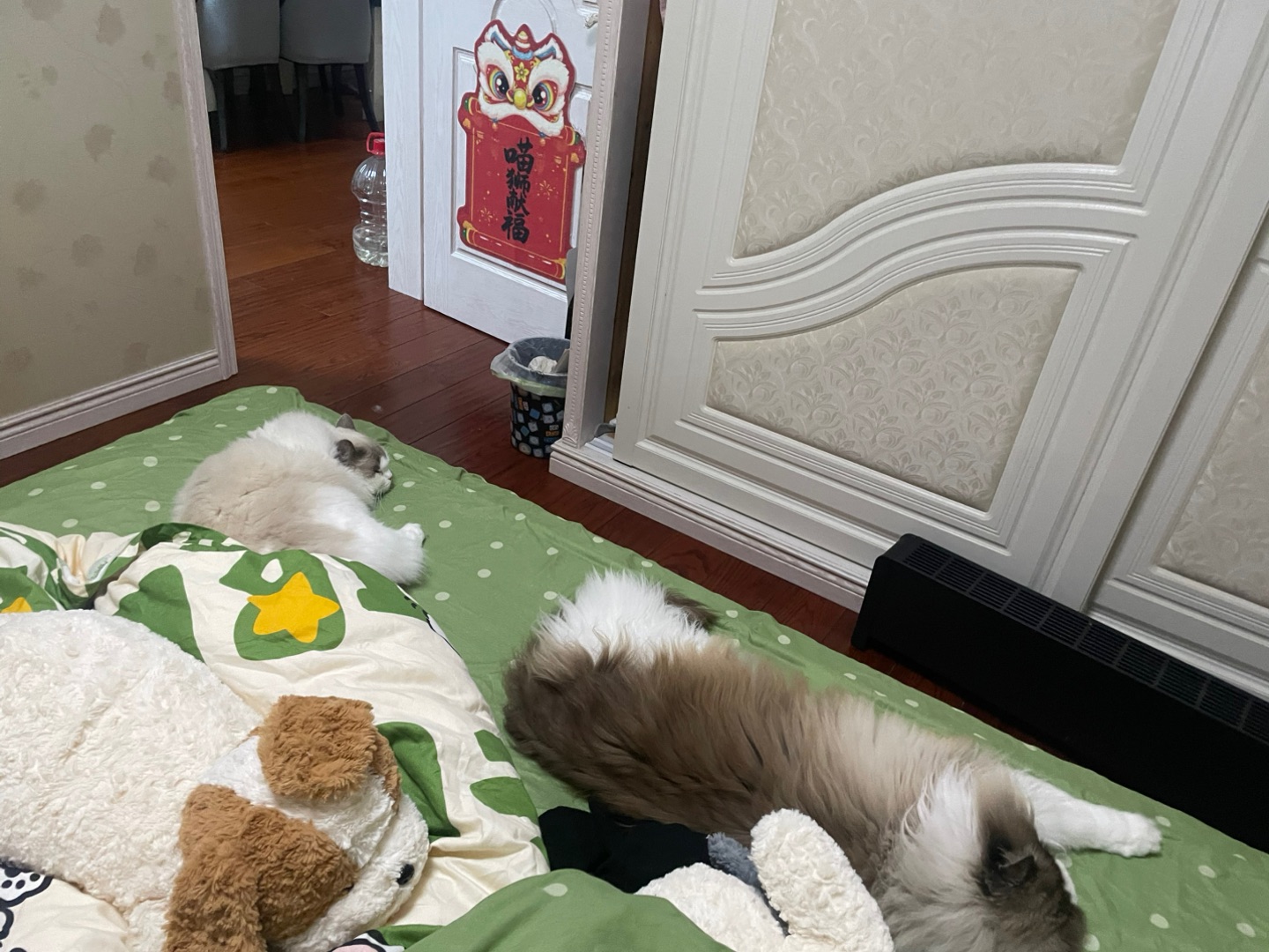 两只可爱猪 每天趴在床上可可爱爱的 太乖啦哈哈哈哈哈哈回家了