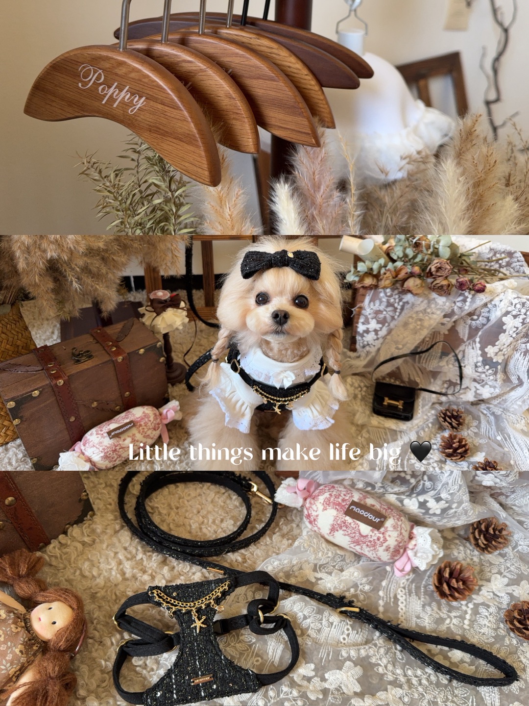 接受家族安排的联姻