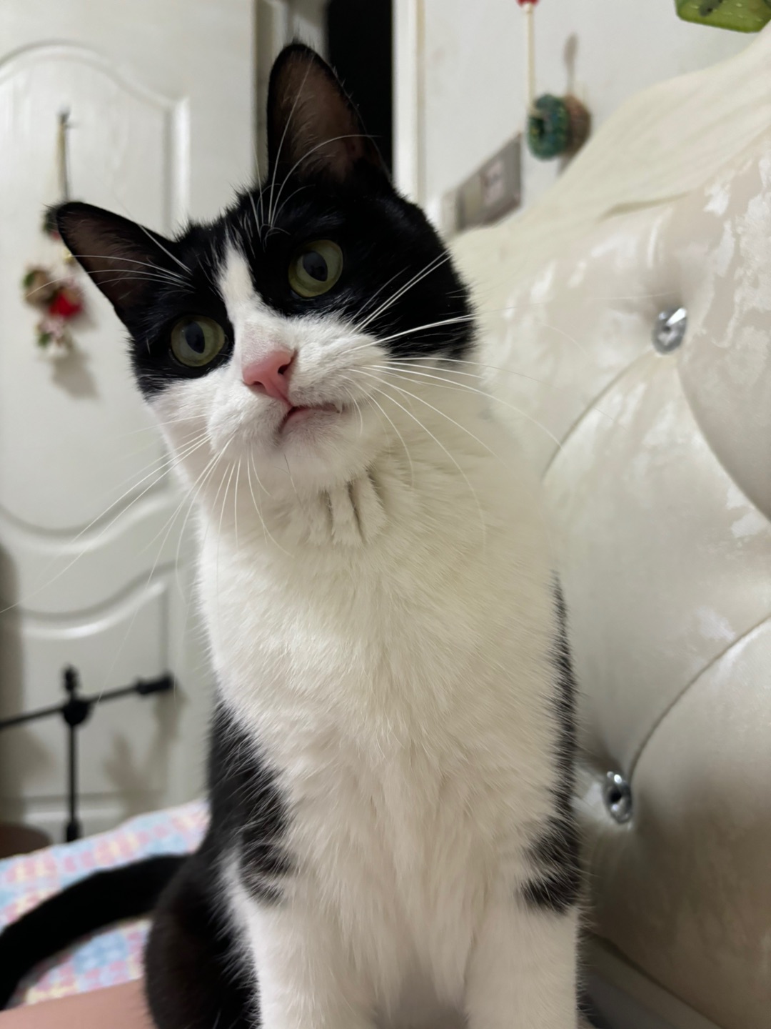 哈哈  ᖰ⌯'▾'⌯ᖳ~(＾◇^)/( ´ ▽ ` )ノヽ(^0^)ノ