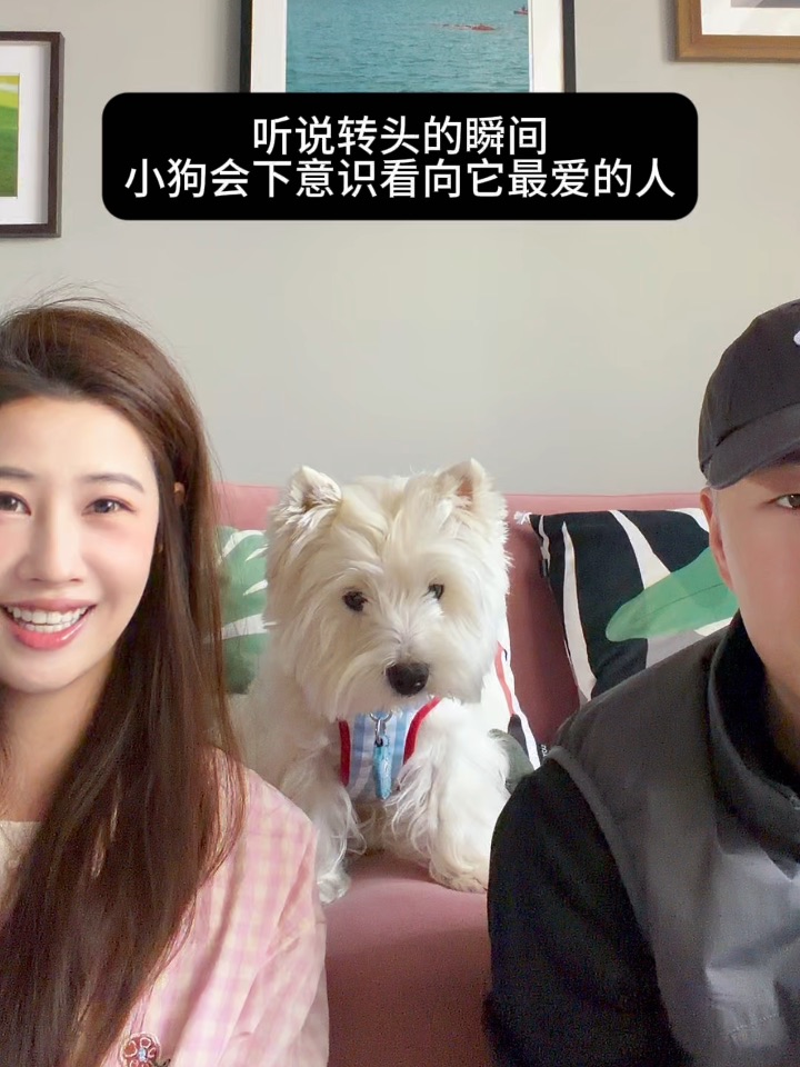 人情世故这一块…